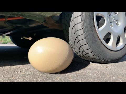 BIG EGG COCA COLA BALLOON VS CAR, Coca Cola Zero, PowerAde, Fanta, Sprite, Fruko and MentosDifferent